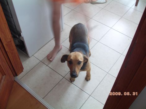 pict0001.jpg